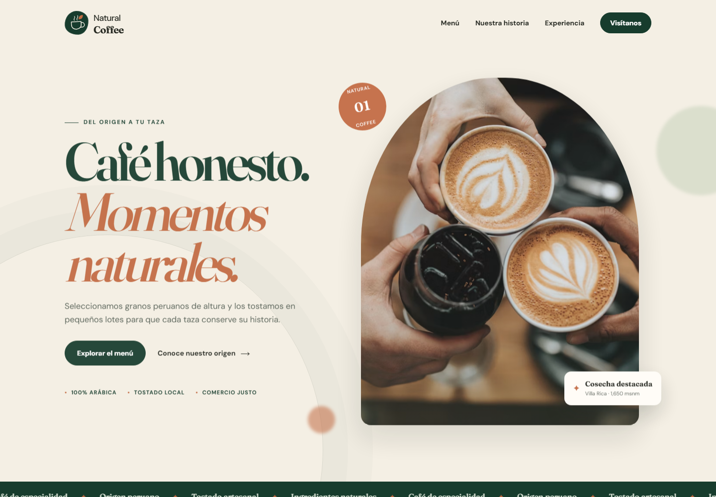 Modelo web Natural Coffee