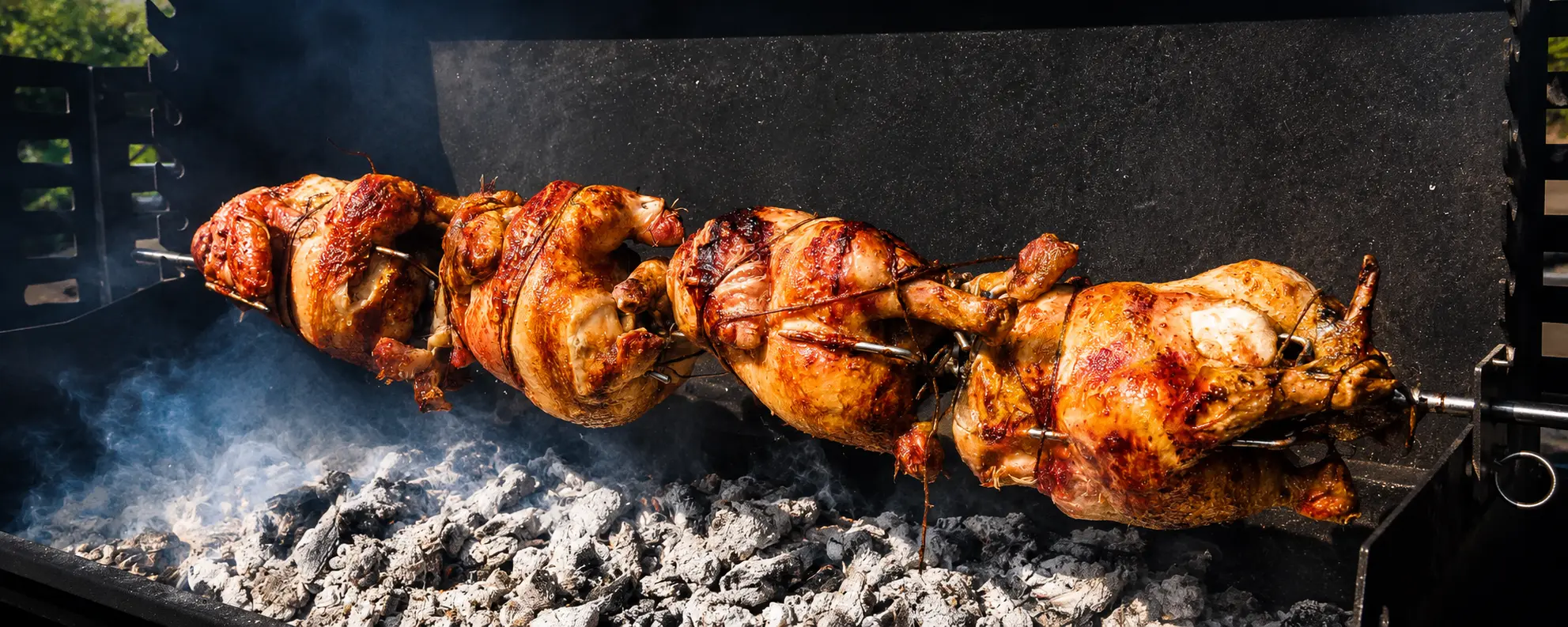 Modelo web Maltin's Chicken